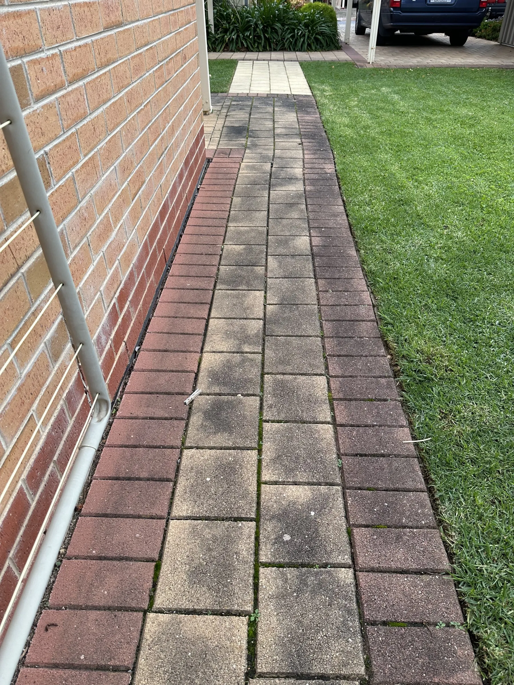 Brick paver path after a pressure clean