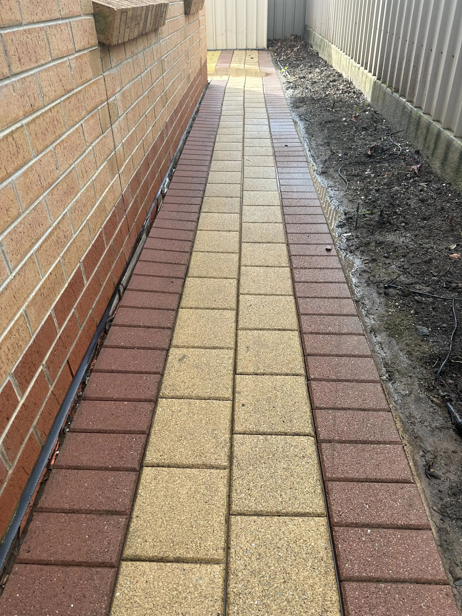 Brick path, pressure cleaned