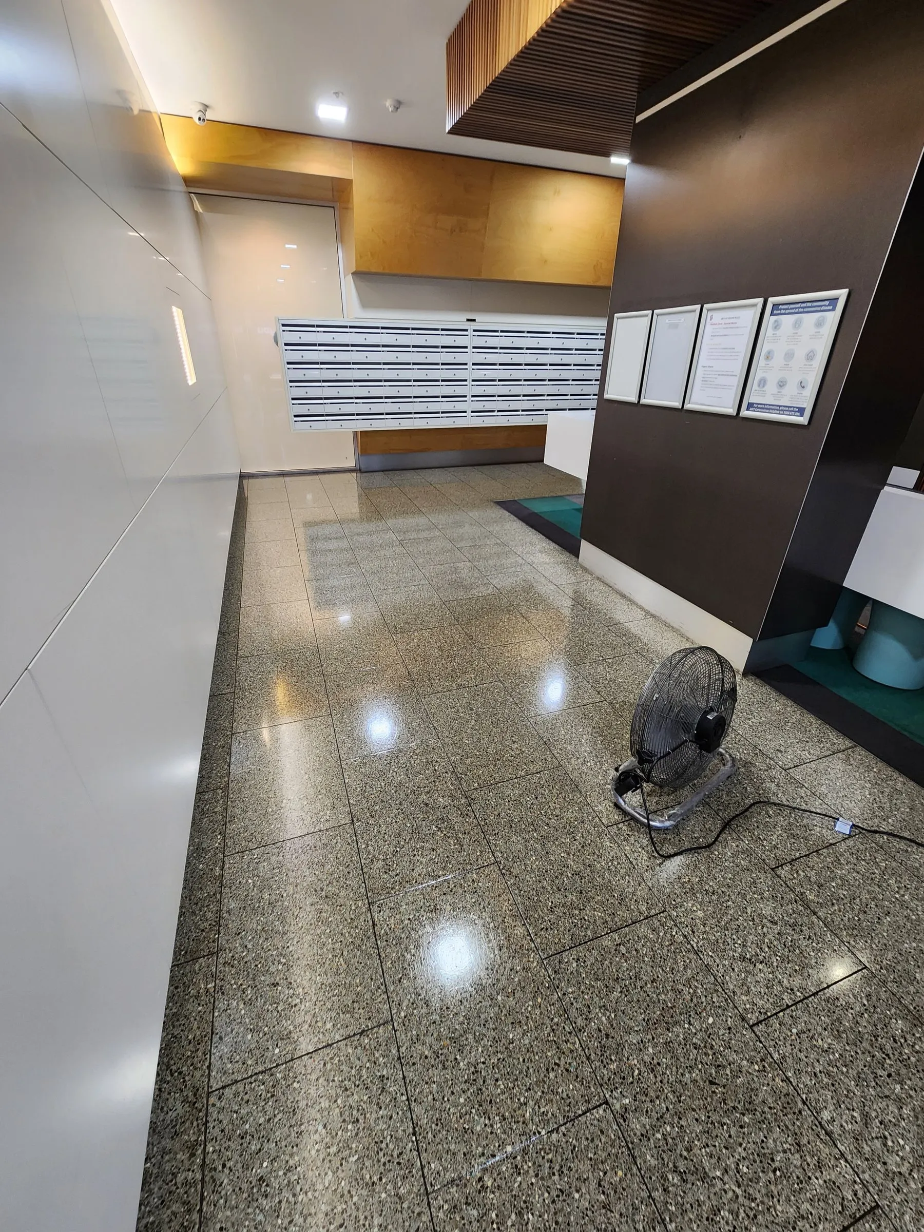 Terrazzo lobby floor, machine scrubbed